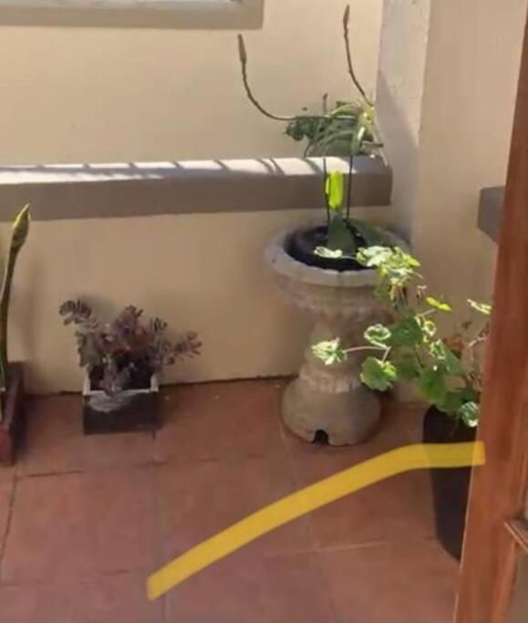 קייפטאון 1-Bedroom Sea Point Gem - Perfect Location! מראה חיצוני תמונה